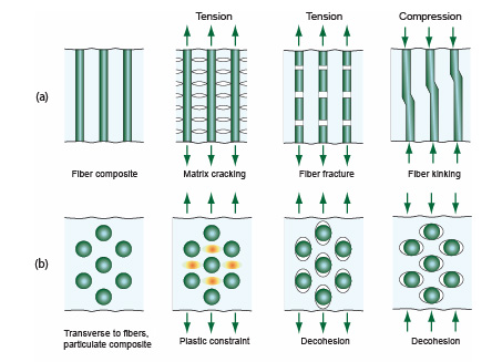 a) Fiber composites, along the fibres: Tension leads to matrix cracking or fiber fracture, compression leads to fiber kinking. b) In particulate composites or transverse to fibers: Tension leads to plastic constraint or decohesion in the direction of the applied force, compression leads to decohesion perpendicular to the applied force.